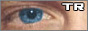 trshady eye banner